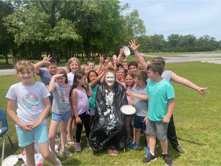 pie in the face